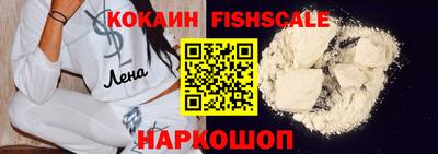 стаф Кулебаки