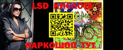 стаф Кулебаки