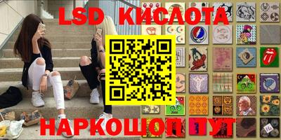 стаф Кулебаки