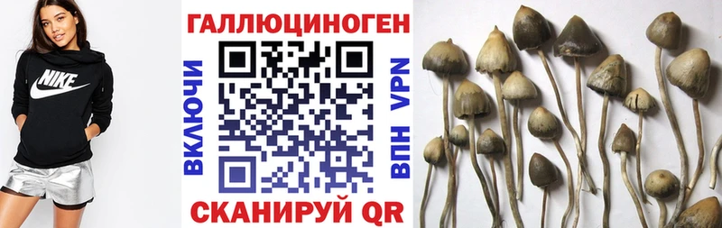 Псилоцибиновые грибы MAGIC MUSHROOMS купить закладку Коммунар