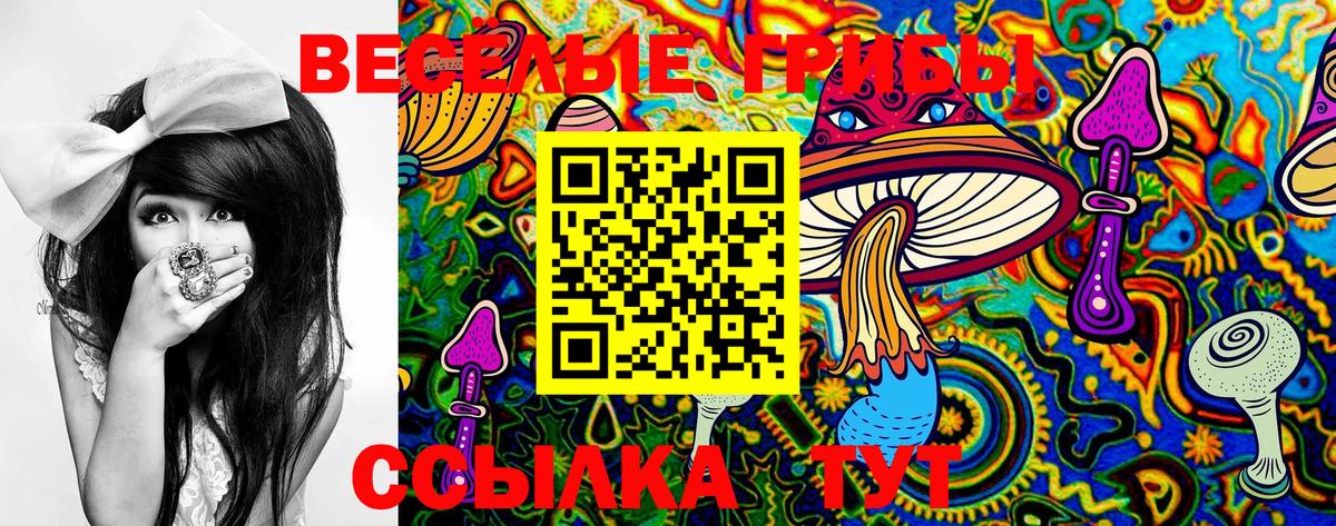 Псилоцибиновые грибы GOLDEN TEACHER  закладка  Коммунар  Вход с VPN 