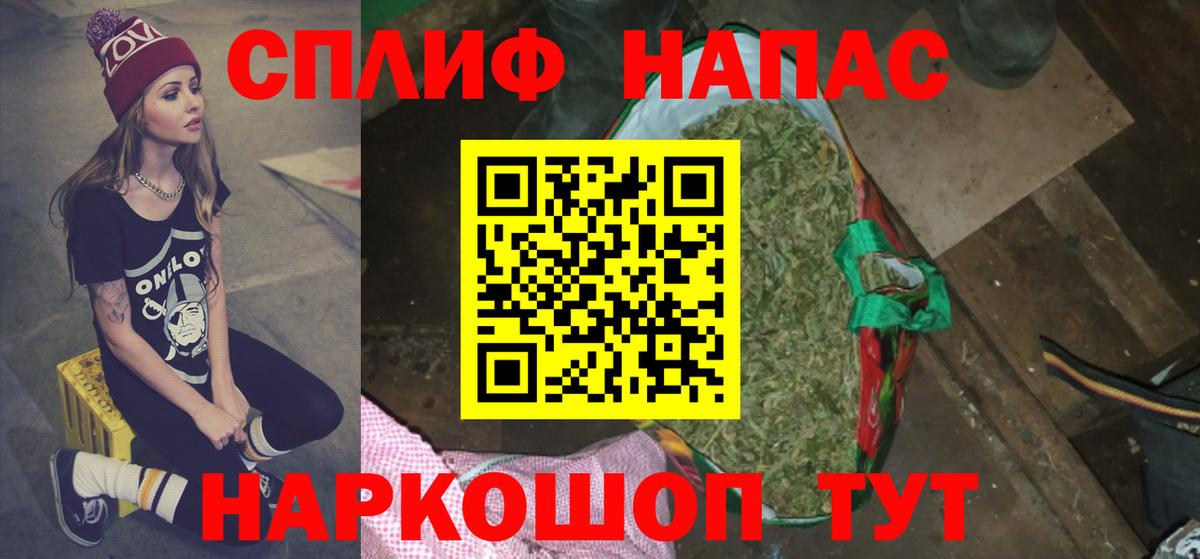 Бошки Шишки сатива Коммунар